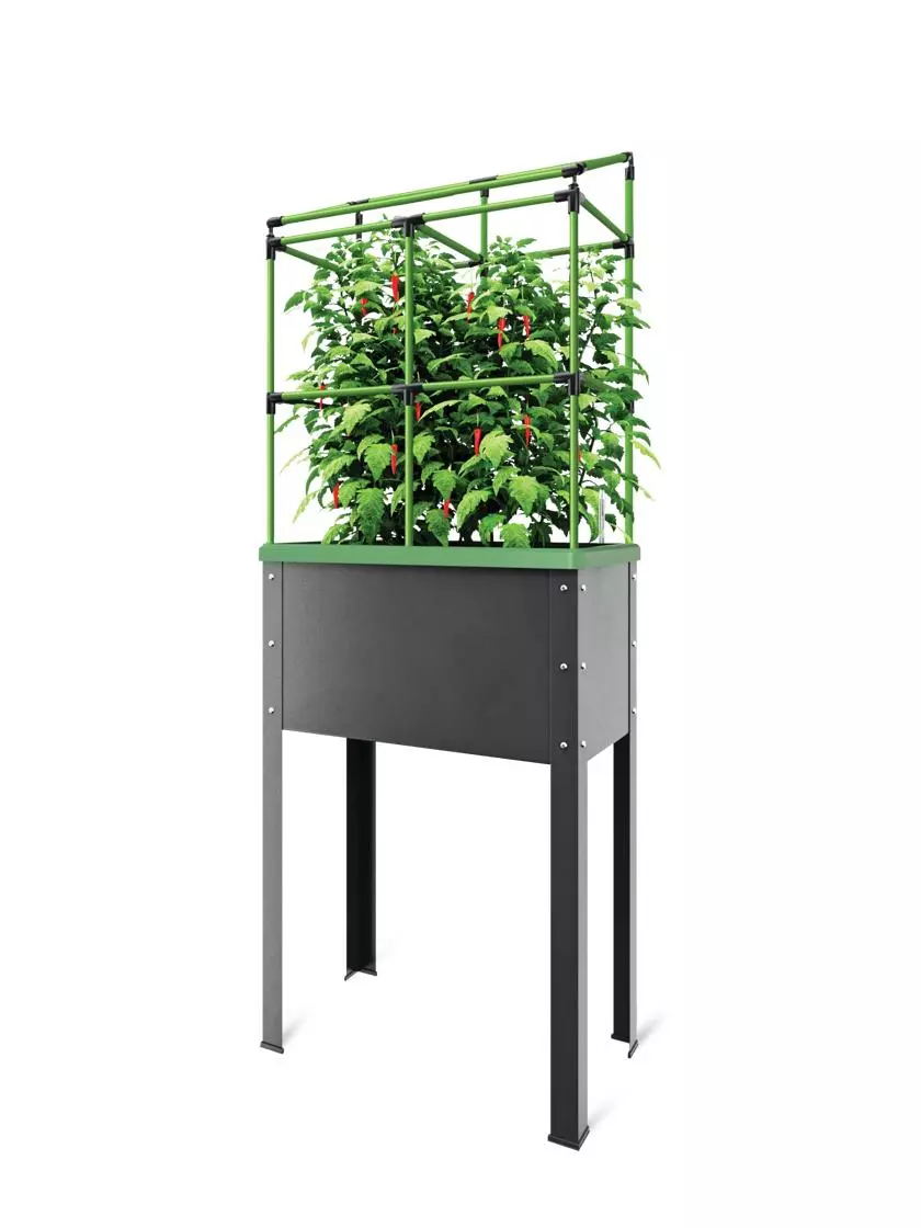 GSC City Jungle® Heidelberg Tomato Trellis 3 GSC City Jungle® Heidelberg Tomato Trellis