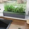 GSC Provence Self-Watering Herb Planter