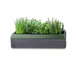 GSC Provence Self-Watering Herb Planter 13 GSC Provence Self-Watering Herb Planter -Plant Supports Shop 8611965 03V tif