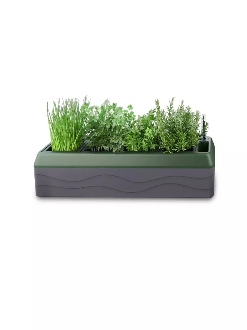 GSC Provence Self-Watering Herb Planter 8 GSC Provence Self-Watering Herb Planter - Image 6