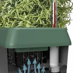 GSC Provence Self-Watering Herb Planter 10 GSC Provence Self-Watering Herb Planter -Plant Supports Shop 8611965 05V tif