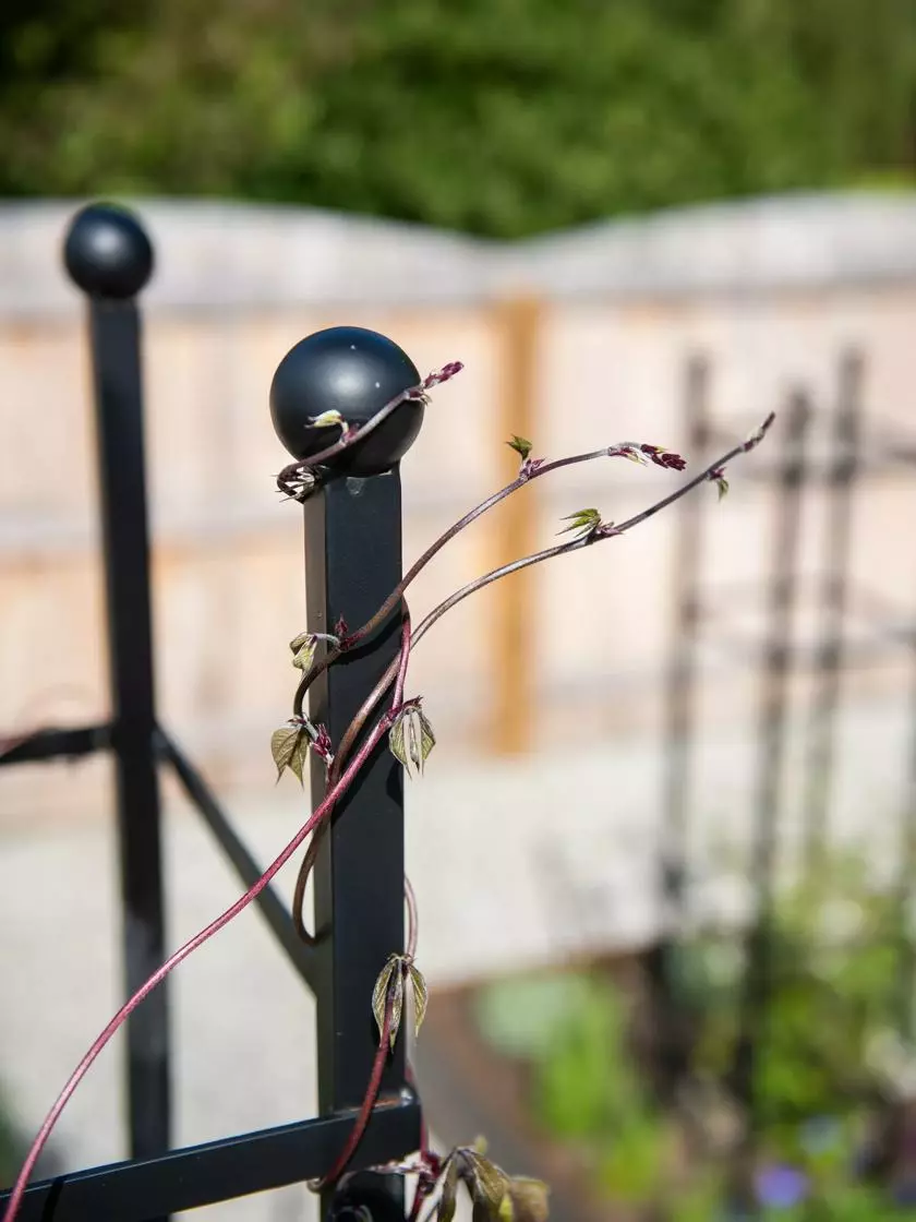 GSC Essex Square Obelisk 7 GSC Essex Square Obelisk - Image 5