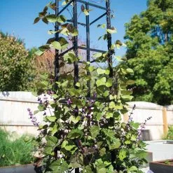 GSC Essex Square Obelisk 11 GSC Essex Square Obelisk -Plant Supports Shop 8611984 288 tif