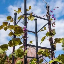 GSC Essex Square Obelisk 10 GSC Essex Square Obelisk -Plant Supports Shop 8611984 354 tif