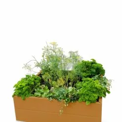 GSC Somerset Metal Raised Beds, As Is 23 GSC Somerset Metal Raised Beds, As Is -Plant Supports Shop 8612019 2003 tif