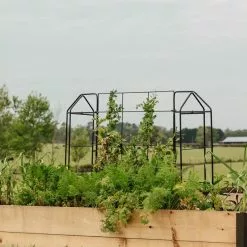 GSC Zenith Trellis 7 GSC Zenith Trellis -Plant Supports Shop 8612035 549 tif