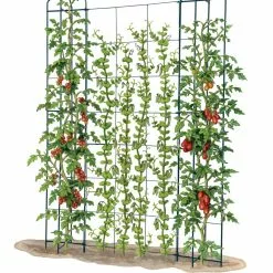 GSC Zenith Trellis 9 GSC Zenith Trellis -Plant Supports Shop 8612036 art tif