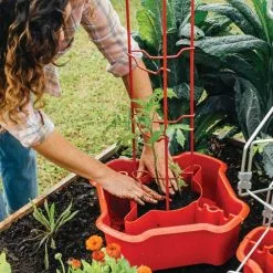 GSC Deluxe Tomato Halos, Set Of 2 -Plant Supports Shop 8612045 135 tif