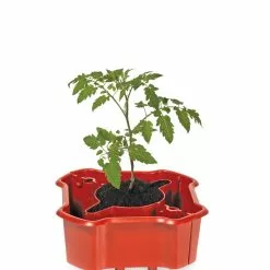 GSC Deluxe Tomato Halos, Set Of 2