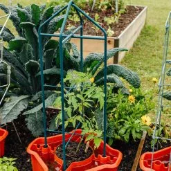 GSC Deluxe Tomato Halos, Set Of 2 -Plant Supports Shop 8612045 221 tif