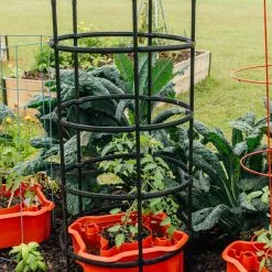 GSC Deluxe Tomato Halos, Set Of 2 -Plant Supports Shop 8612045 228 tif