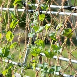 GSC Coco Trellis Netting, 4' X 15' -Plant Supports Shop 8612050 005 tif