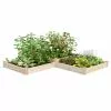 GSC 2-Tier Pine Raised Garden Bed, 4'x12' -Plant Supports Shop 8612257 02v 2 tier pine raised garden bed 4x12 feet