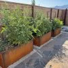 GSC Nice Corten Trough Planters With Trellis 2 GSC Nice Corten Trough Planters With Trellis -Plant Supports Shop 8612390 02V jpg