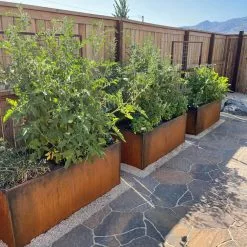 GSC Nice Corten Trough Planters With Trellis