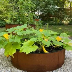 GSC Birdies™ Corten Steel Round Raised Beds -Plant Supports Shop 8612422 0484 tif