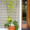 GSC Flock Of Friends Pot Trellis -Plant Supports Shop 8612635 0081 flock of friends pot trellis