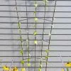 GSC Flock Of Friends Wall Trellis 1 GSC Flock Of Friends Wall Trellis -Plant Supports Shop 8612636 0029 flock of friends wall trellis