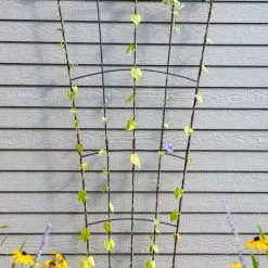 GSC Flock Of Friends Wall Trellis