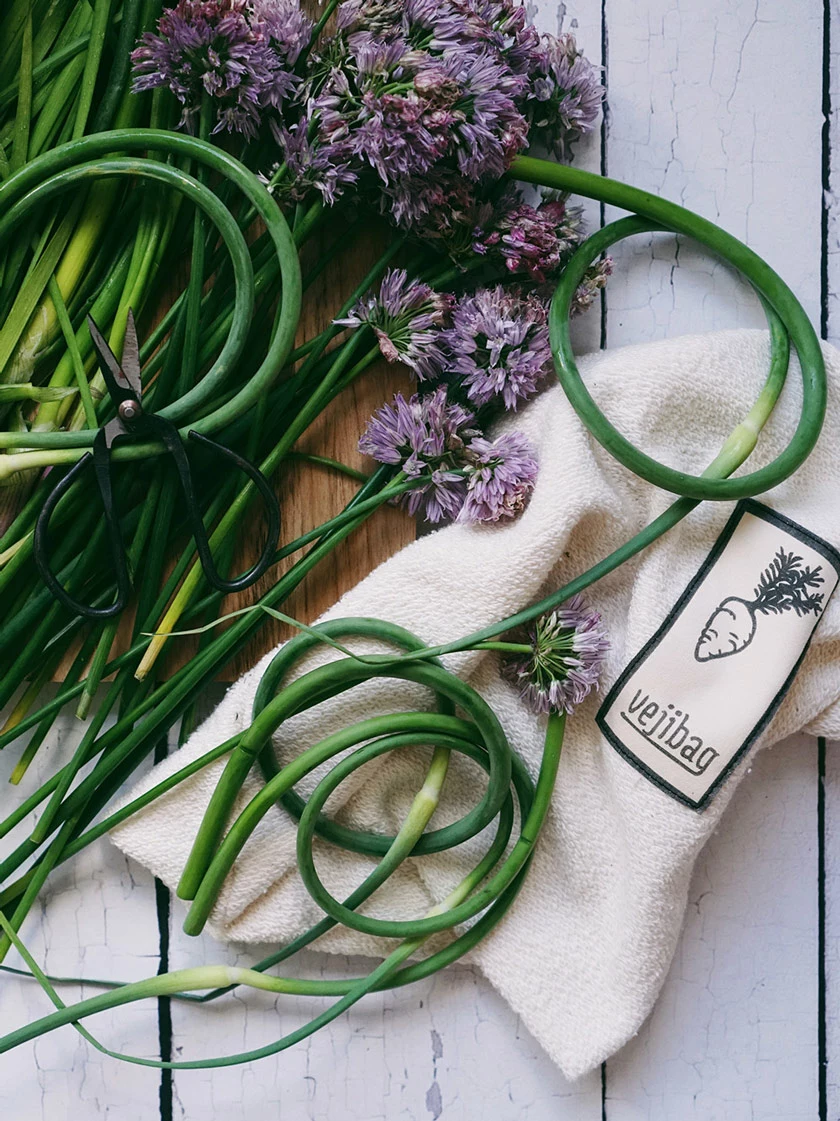 GSC Vejibags 10 GSC Vejibags - Image 8