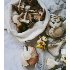 GSC Vejibags 18 GSC Vejibags -Plant Supports Shop 8612656 12v