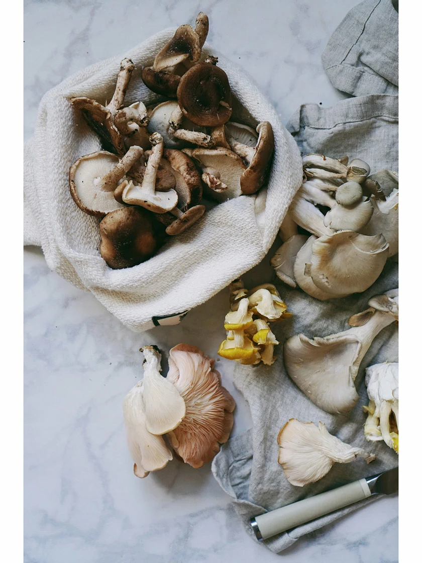 GSC Vejibags 7 GSC Vejibags - Image 5