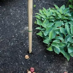 GSC Wicked Big Dibber -Plant Supports Shop 8612667 0028