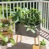 GSC Ava Self-Watering Rectangular Planter -Plant Supports Shop 8612691 0010 ava self watering rectangular planter