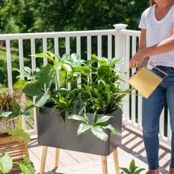 GSC Ava Self-Watering Rectangular Planter 13 GSC Ava Self-Watering Rectangular Planter -Plant Supports Shop 8612691 0011