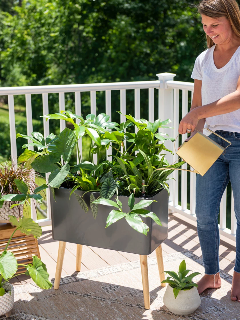 GSC Ava Self-Watering Rectangular Planter 5 GSC Ava Self-Watering Rectangular Planter - Image 3