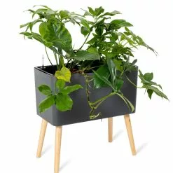 GSC Ava Self-Watering Rectangular Planter 14 GSC Ava Self-Watering Rectangular Planter -Plant Supports Shop 8612691 0013