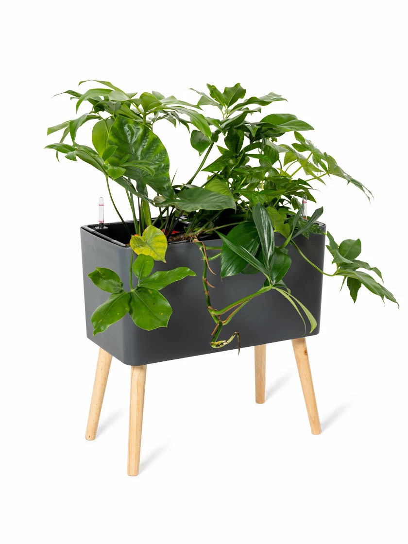 GSC Ava Self-Watering Rectangular Planter 6 GSC Ava Self-Watering Rectangular Planter - Image 4