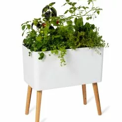 GSC Ava Self-Watering Rectangular Planter 15 GSC Ava Self-Watering Rectangular Planter -Plant Supports Shop 8612691 0014
