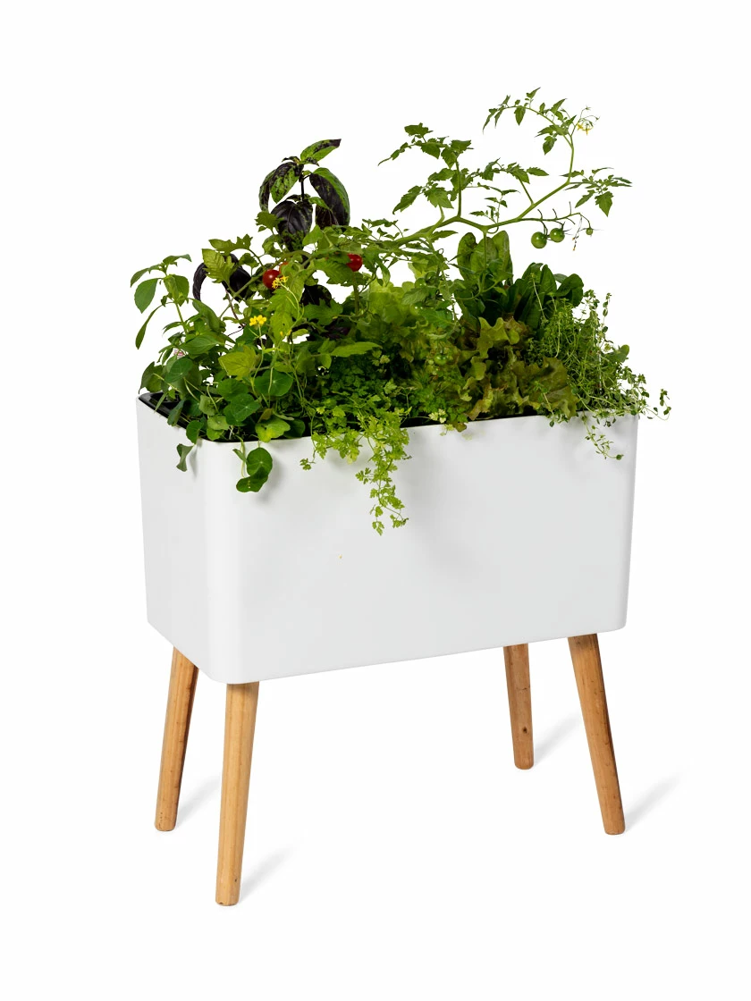 GSC Ava Self-Watering Rectangular Planter 7 GSC Ava Self-Watering Rectangular Planter - Image 5