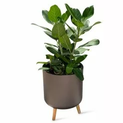 GSC Ava Self-Watering Round Planter -Plant Supports Shop 8612692 0003