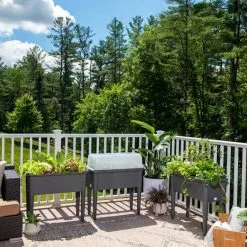 GSC Self-Watering Standing Salad Planter With Cloche -Plant Supports Shop 8612702 2002 tif