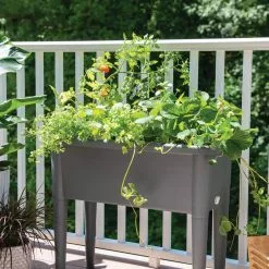 Plant Supports Shop -Plant Supports Shop 8612702 2015 tif