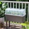 GSC Self-Watering Standing Salad Planter With Cloche -Plant Supports Shop 8612702 2032 tif