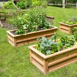 GSC Craftsbury Raised Beds