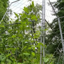 GSC Chicken Wire Pea Trellis -Plant Supports Shop 8612718 7308