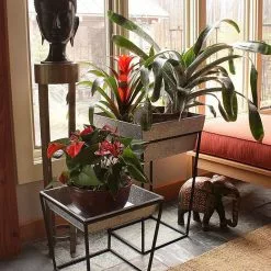 GSC Achla Designs Arne Plant Stand -Plant Supports Shop 8612900 03v