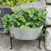 GSC Achla Designs Mini Oval Galvanized Tub With Folding Stand -Plant Supports Shop 8612906 02v achla designs mini oval galvanized tub with folding stand