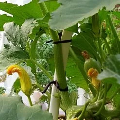 GSC Farmyarn® Multipurpose Garden Tie, 2 Pack -Plant Supports Shop 8612948 01v