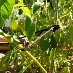 GSC Farmyarn® Multipurpose Garden Tie, 2 Pack -Plant Supports Shop 8612948 02v