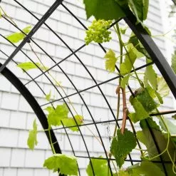 GSC 2’ X 4’ Arch Trellis For Planter Boxes -Plant Supports Shop 8612976 0436