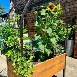 GSC 2’ X 4’ Arch Trellis For Planter Boxes -Plant Supports Shop 8612976 11TEST tif