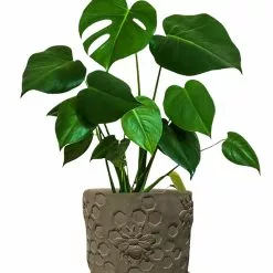 GSC Concrete Honeycomb Bee Planter