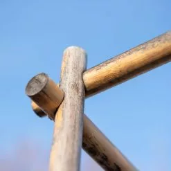 GSC Bamboo Tomato Cages, Set Of 3 -Plant Supports Shop 8613143 0385 2