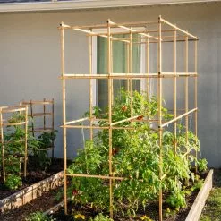 GSC Tomato Six Pack Support -Plant Supports Shop 8613143 6970