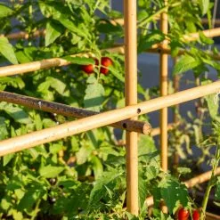 GSC Tomato Six Pack Support -Plant Supports Shop 8613143 6985